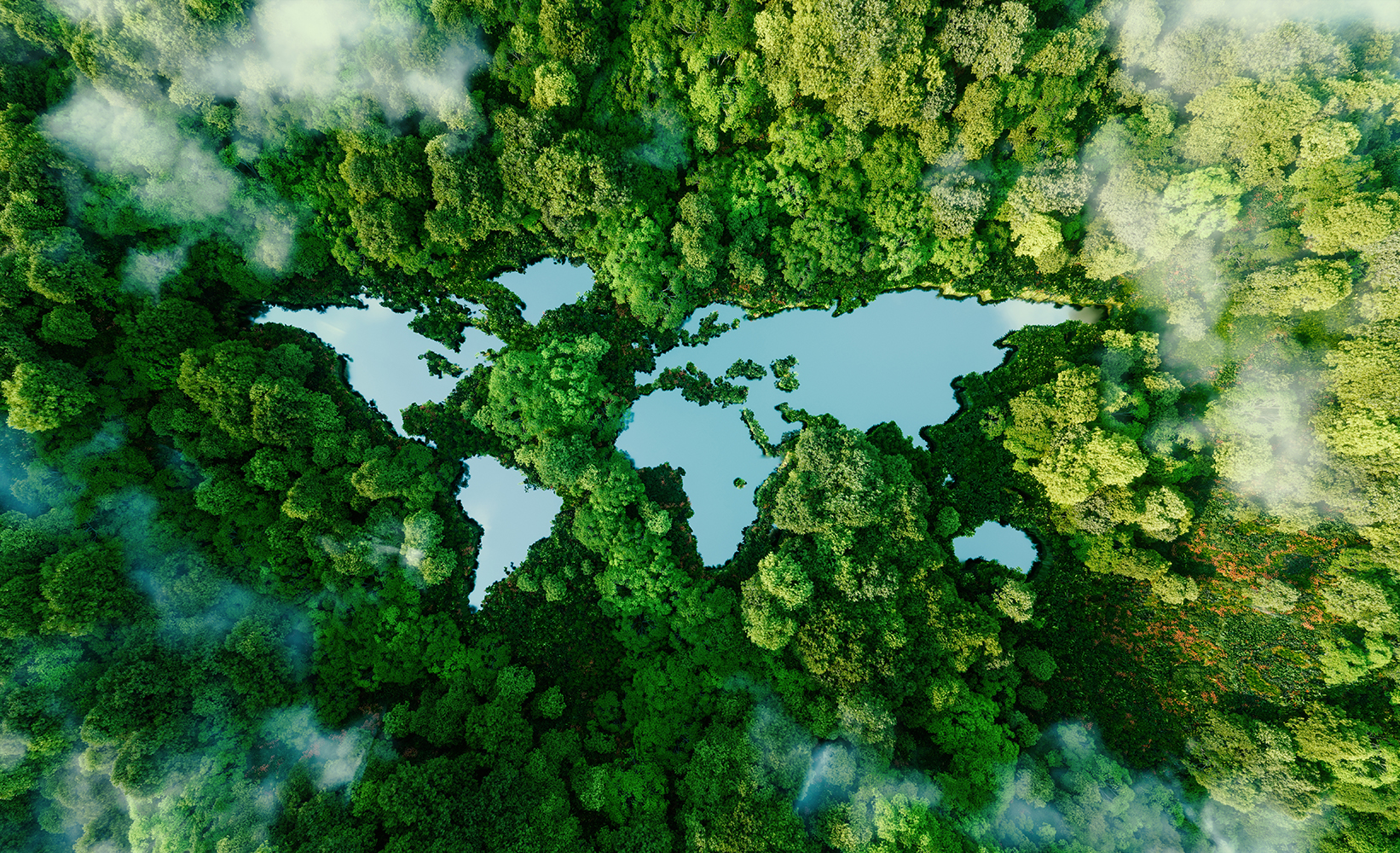 World Environment commitment Simpson